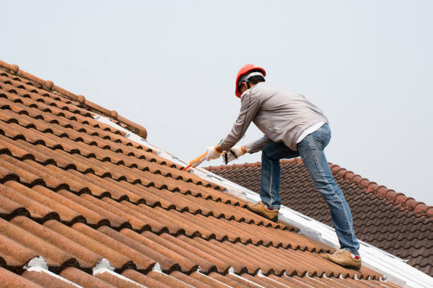 Best Roof Ventilation Installation  in Charlevoix, MI