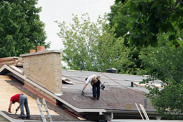 Best Roof Insulation Installation  in Charlevoix, MI